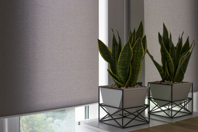 Motorized Shade Repair in Warrenton, VA