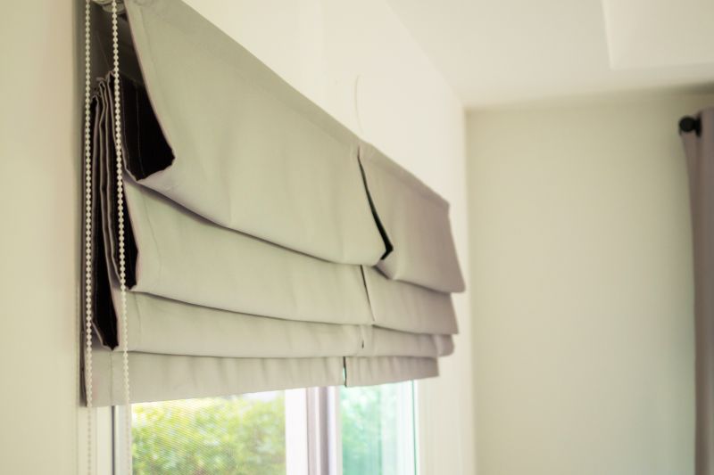 Roman Shade Cleaning in Madison, WI