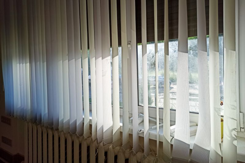 Vertical Blind Cleaning