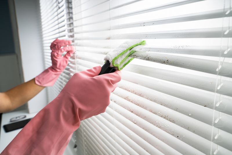 Window Blinds Cleaning